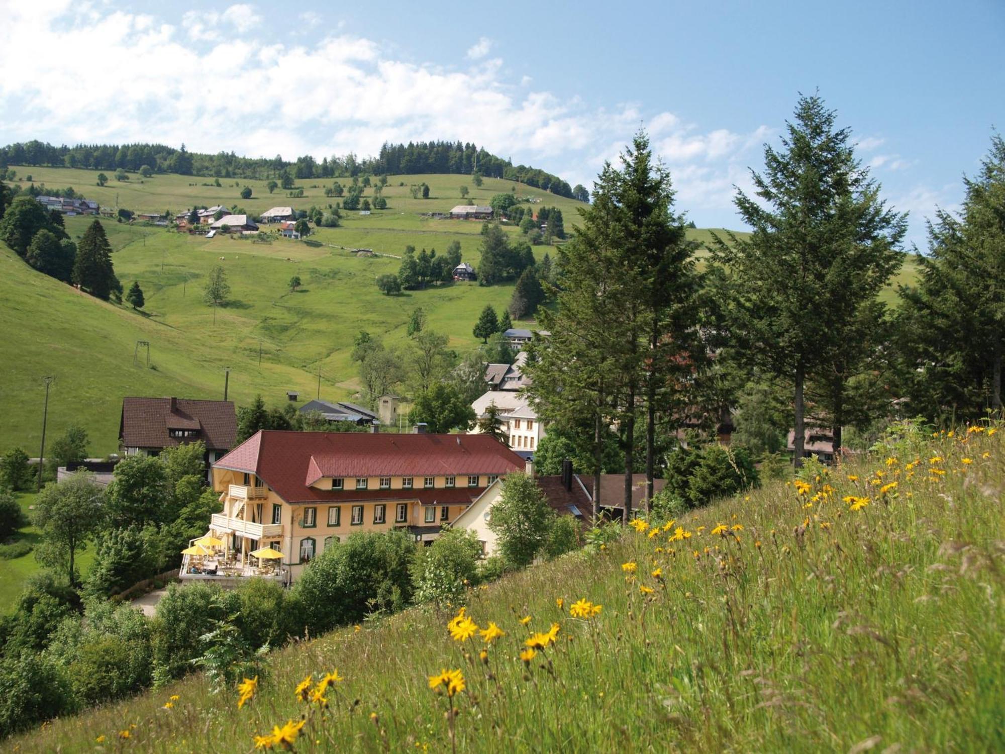Gruener Baum Naturparkhotel & Schwarzwald-Restaurant Todtnau Exteriér fotografie
