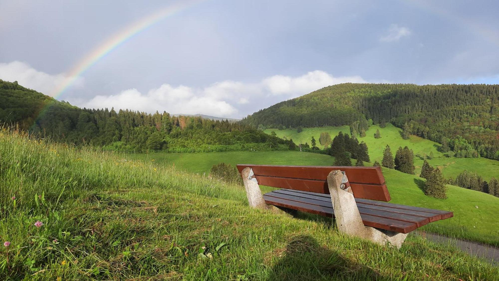 Gruener Baum Naturparkhotel & Schwarzwald-Restaurant Todtnau Exteriér fotografie
