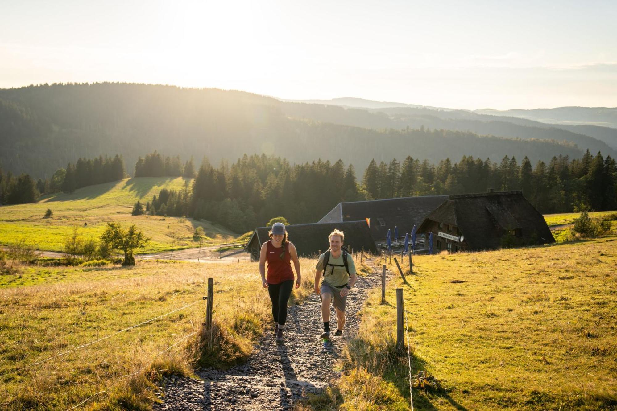 Gruener Baum Naturparkhotel & Schwarzwald-Restaurant Todtnau Exteriér fotografie