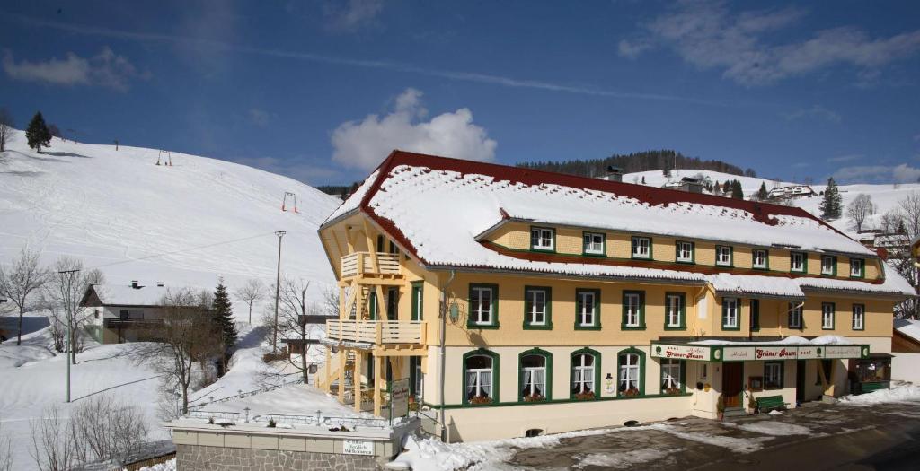 Gruener Baum Naturparkhotel & Schwarzwald-Restaurant Todtnau Exteriér fotografie