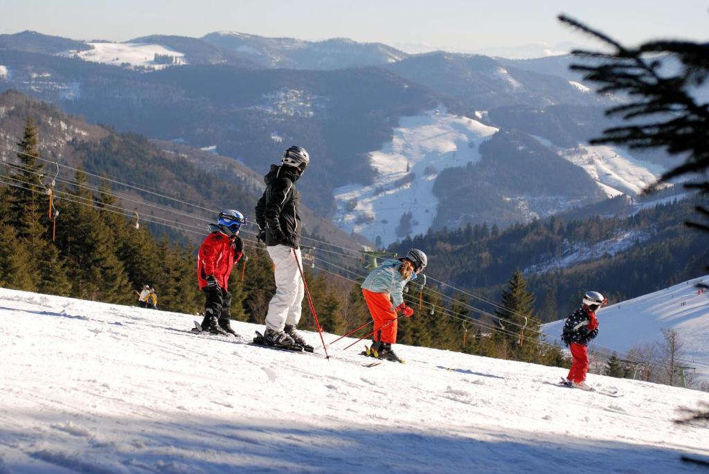 Gruener Baum Naturparkhotel & Schwarzwald-Restaurant Todtnau Exteriér fotografie