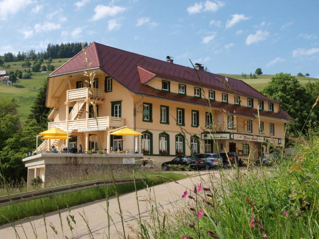 Gruener Baum Naturparkhotel & Schwarzwald-Restaurant Todtnau Exteriér fotografie