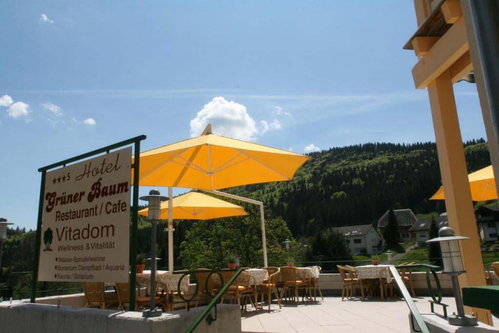 Gruener Baum Naturparkhotel & Schwarzwald-Restaurant Todtnau Exteriér fotografie