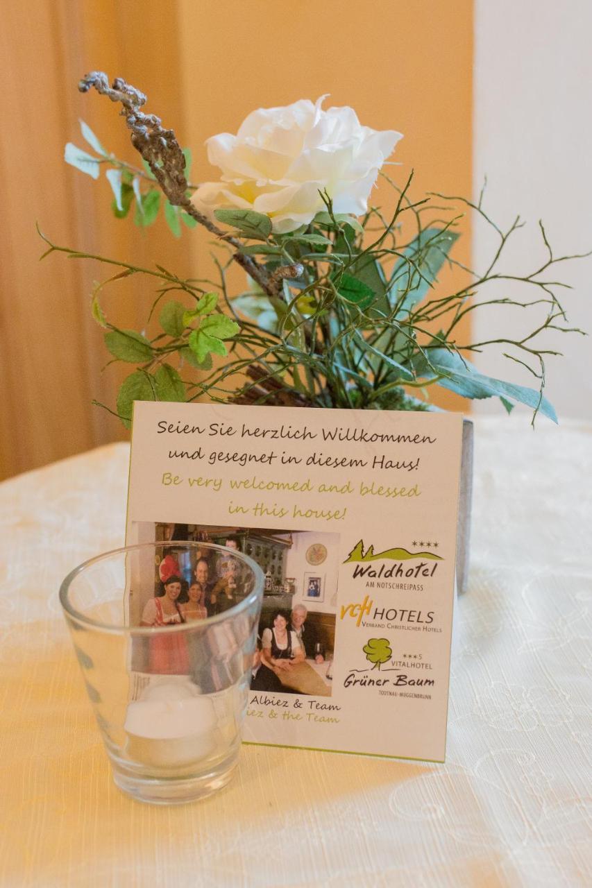 Gruener Baum Naturparkhotel & Schwarzwald-Restaurant Todtnau Exteriér fotografie
